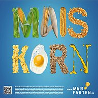 Feldrandschild 2016 | Maiskorn